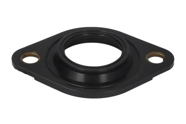 Seal Ring, injector ENT250389/1