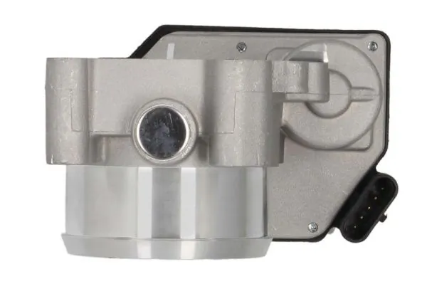 Throttle Body ENT310018