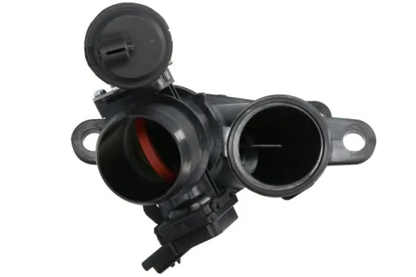 Throttle Body ENT310058