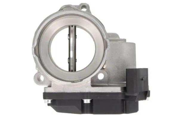 Throttle Body ENT310017