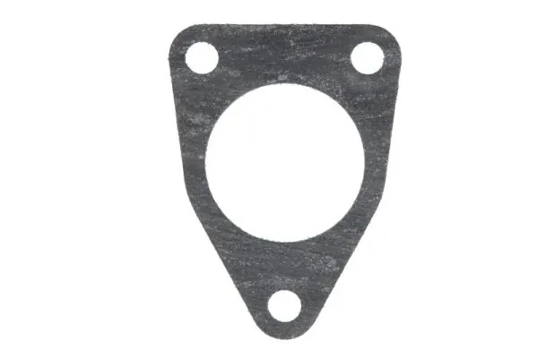 Gasket, fuel pump ENT020443