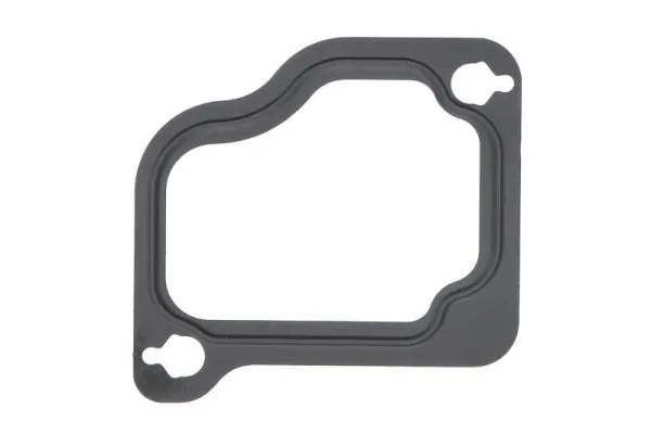 Gasket, intake manifold ENT011185