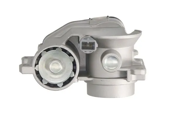Throttle Body ENT310037