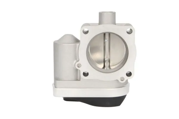 Throttle Body ENT310028