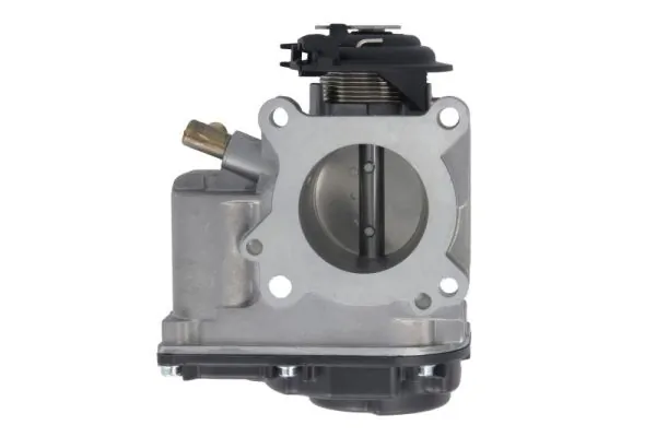 Throttle Body ENT310002