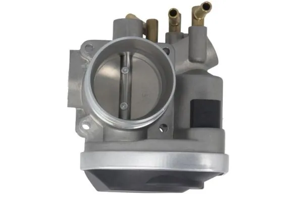 Throttle Body ENT310010