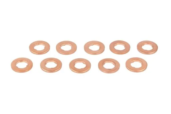 Seal, injector holder ENT250043