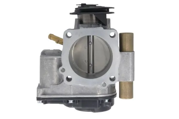 Throttle Body ENT310008