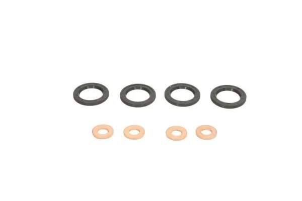 Seal Ring, injector ENT250258