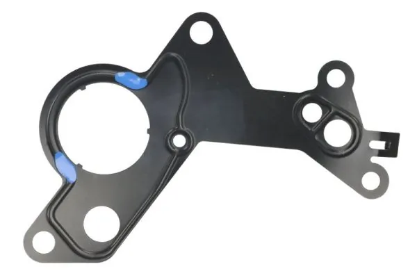 Gasket, vacuum pump ENT410101