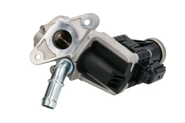 EGR Valve ENT500058