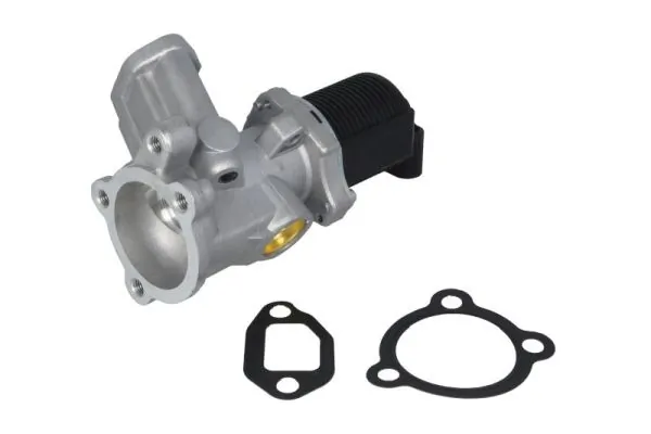 EGR Valve ENT500026