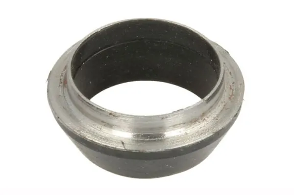 Seal Ring, injector ENT250417