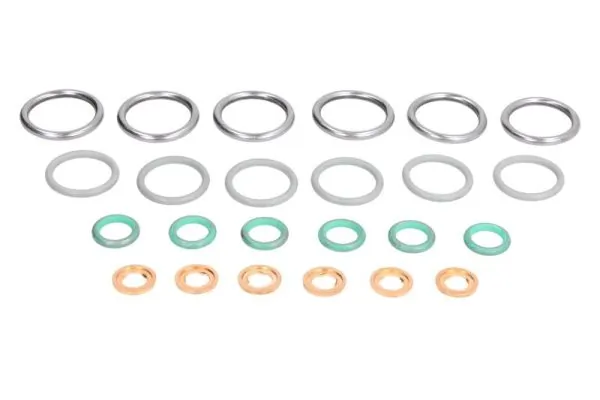 Seal Ring, injector ENT250405