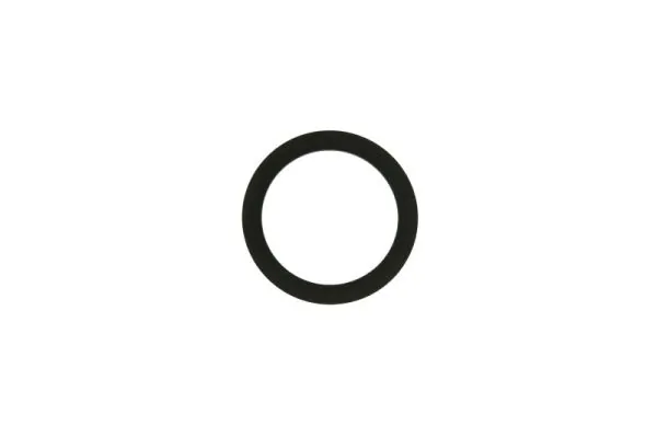 Gasket, fuel pump ENT110340