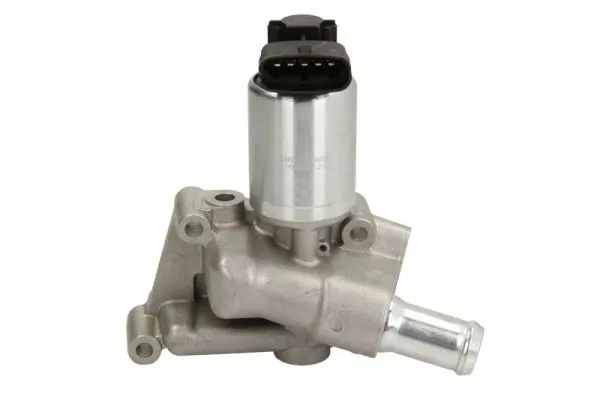 EGR Valve ENT500045