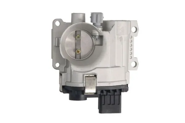 Throttle Body ENT310037