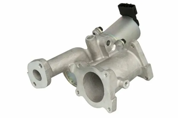 EGR Valve ENT500131