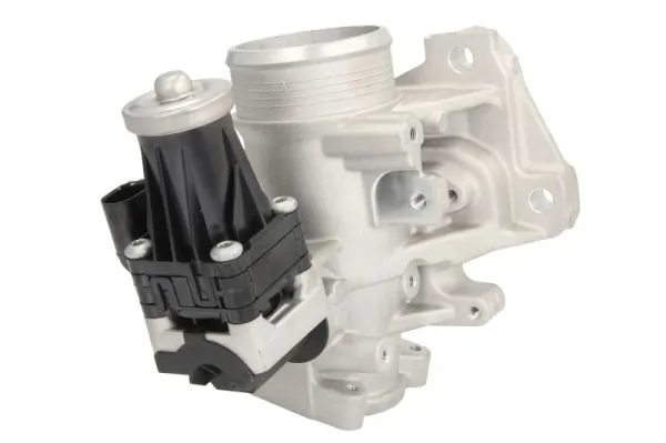 EGR Valve ENT500152