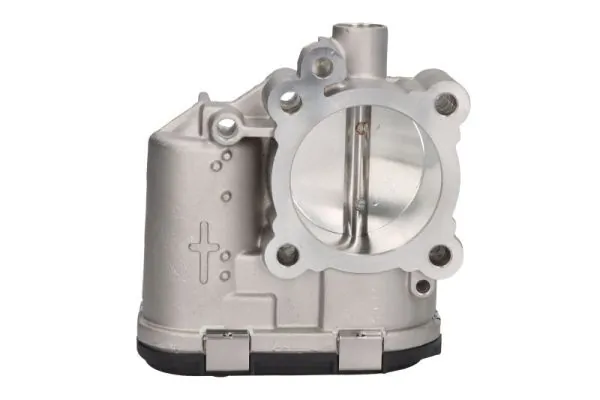 Throttle Body ENT310054
