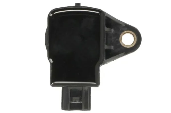 Ignition Coil ENT960084