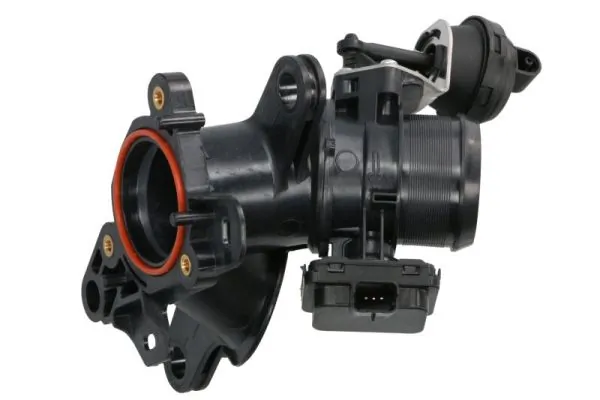 Throttle Body ENT310058