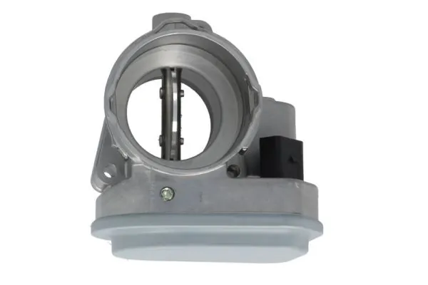 Throttle Body ENT310012