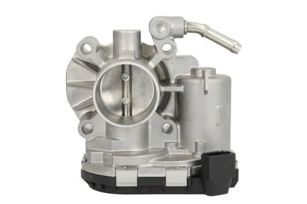 Throttle Body ENT310038