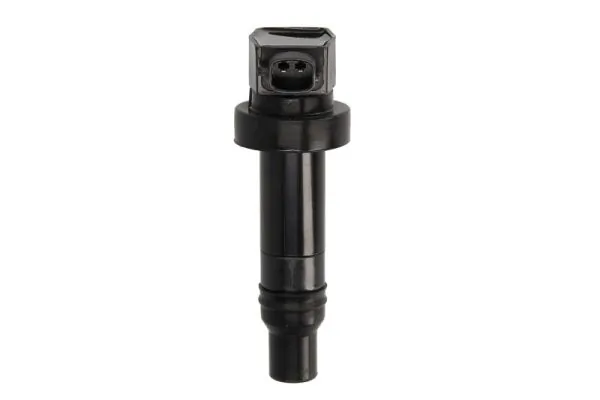 Ignition Coil ENT960015
