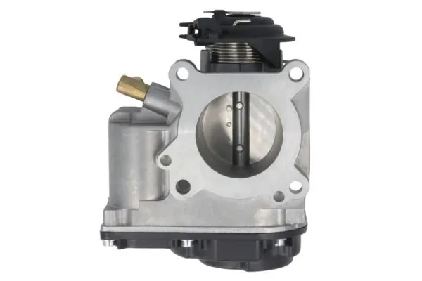 Throttle Body ENT310001