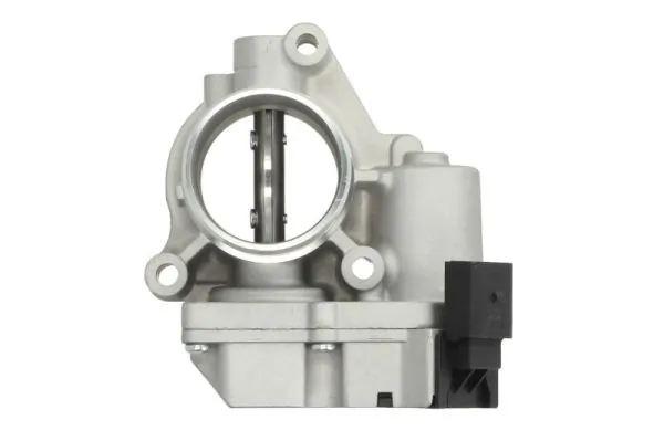 Throttle Body ENT310052