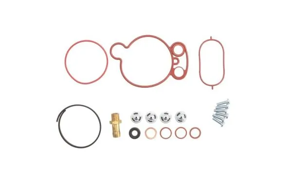Repair Set, vacuum pump (braking system) ENT410009