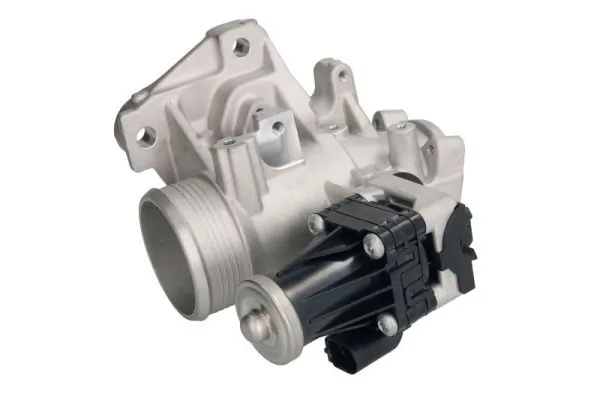 EGR Valve ENT500152