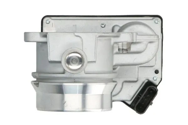 Throttle Body ENT310051