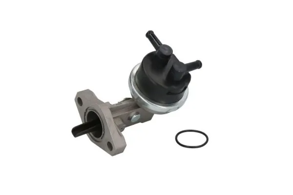 Fuel Pump ENT110249