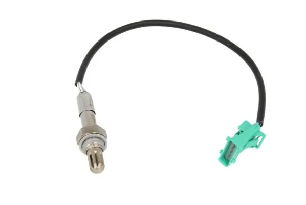 Oxygen Sensor ENT600022
