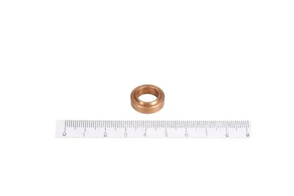 Seal, injector holder ENT250226