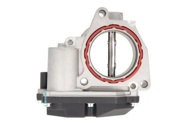 Throttle Body ENT310017