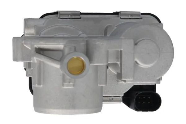 Throttle Body ENT310059