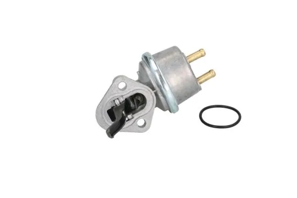 Fuel Pump ENT110270