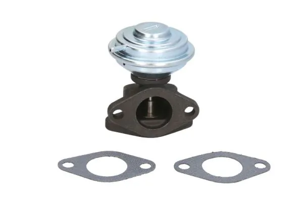EGR Valve ENT500137
