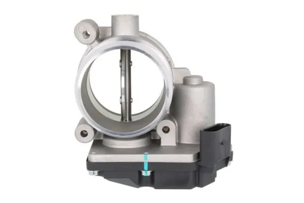 Throttle Body ENT310033