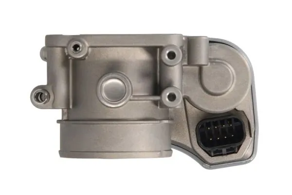Throttle Body ENT310046