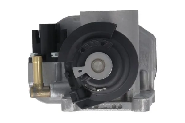 Throttle Body ENT310002