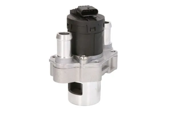 EGR Valve ENT500125