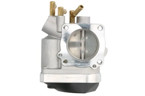 Throttle Body ENT310023