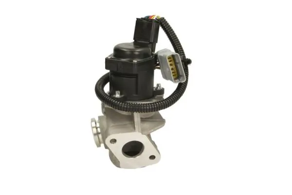 EGR Valve ENT500049