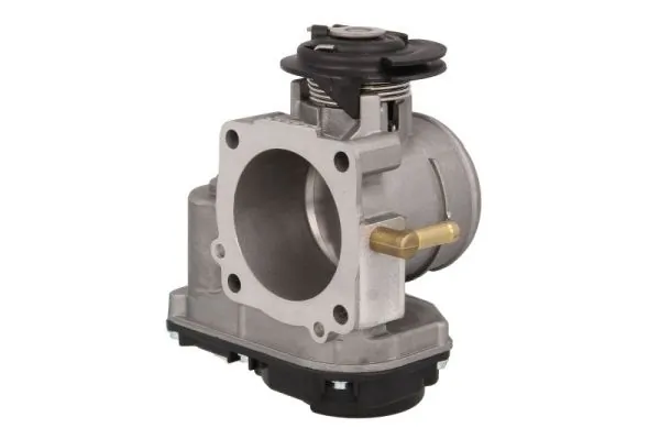 Throttle Body ENT310024