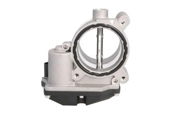 Throttle Body ENT310033