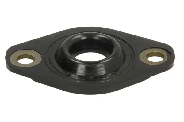 Seal Ring, injector ENT250392/1